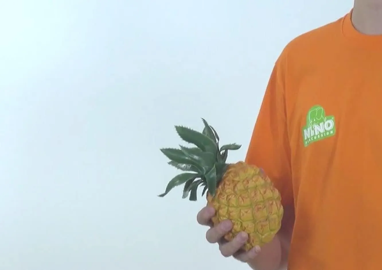 - spectacle eight puncture Pineapple NINO595 Fruit Shaker 
