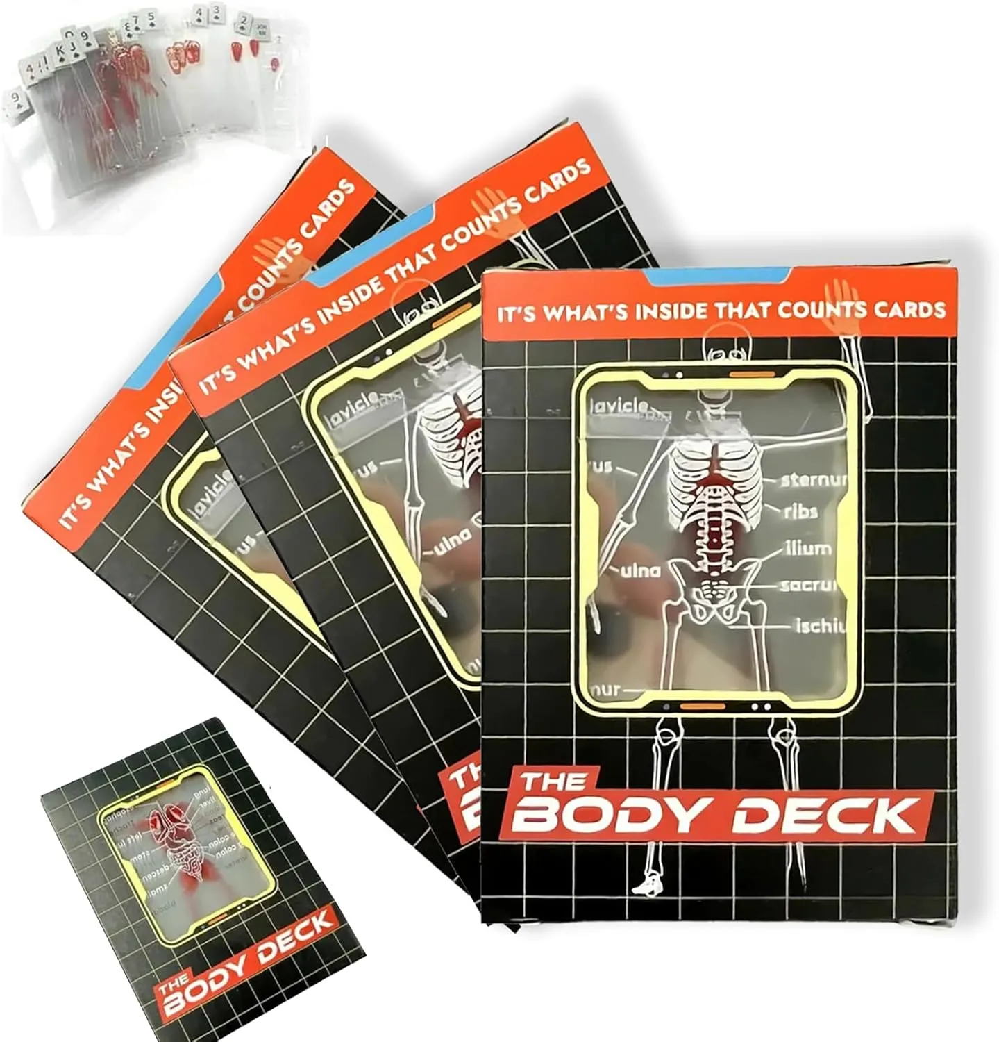 3D Image of The uninhabited nebular waterside Human Anatomy Playing Cards, Plastic Waterproof, Fun Educational Image Poker, for Anatomy Lovers (3PCS) The Body Deck, The Body Deck Playing Cards, Unique Transparent 