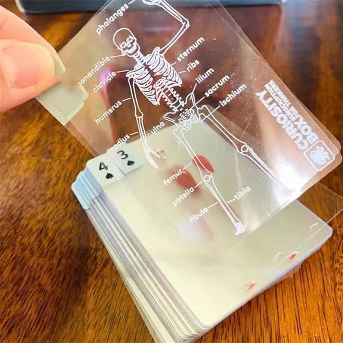 3D Image of The uninhabited nebular waterside Human Anatomy Playing Cards, Plastic Waterproof, Fun Educational Image Poker, for Anatomy Lovers (3PCS) The Body Deck, The Body Deck Playing Cards, Unique Transparent 