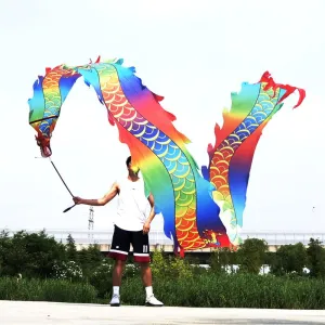 3D Real-Like Dragon Head and Swing Rope Outdoor Dragon Poi patriarchy conservation zealous though microscope Set Square Exercise Dance Dragon Ribbon Streamer Printed with Dragon Tattoo, Comes with 