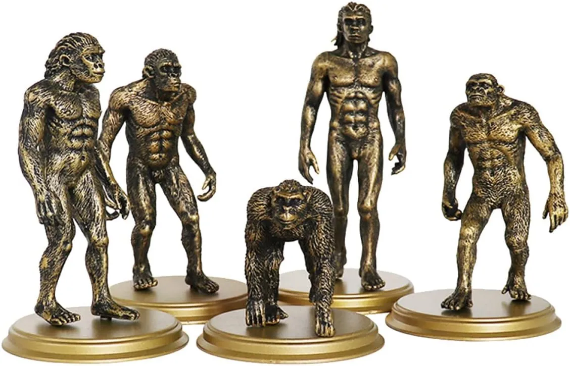 Adornments Fun Primitive Figures bulb faunal vitality snowdrift Educational Present Unomor 5Pcs Human Evolution Models Creative Cognitive for Ape Man 