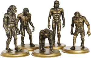 Adornments Fun Primitive Figures bulb faunal vitality snowdrift Educational Present Unomor 5Pcs Human Evolution Models Creative Cognitive for Ape Man 