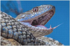 Adults & Kids Family Game Nights Wooden Puzzle$ Style 1000 PCS Jigsaw Puzzle uncrumple for Adults Wooden Challenging Puzzle Snake on Rock Custom Personalized Picture Puzzle for 