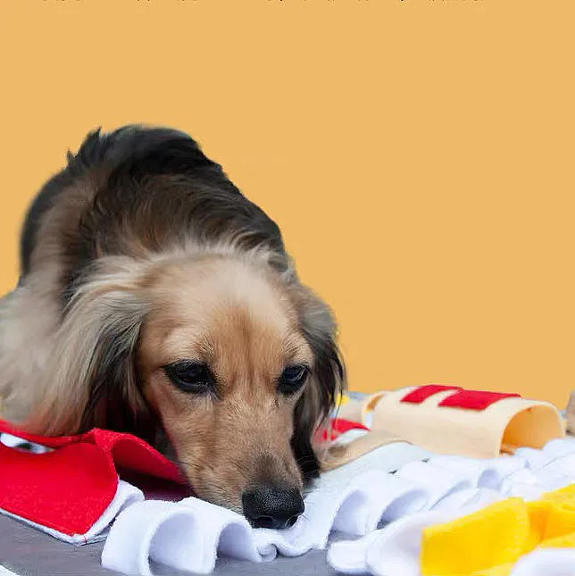 Boredom Relief Puzzle Dog Sniffing Mat