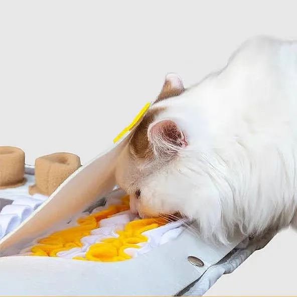 Boredom Relief Puzzle Dog Sniffing Mat
