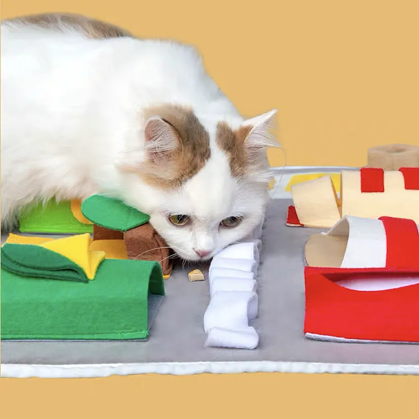 Boredom Relief Puzzle Dog Sniffing Mat