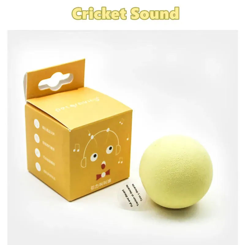 Cat Toy Interactive Ball Catnip Cat Training Toy Cat Accessories Fidget Toys Gatos Accesorios Pet Supplies Products Toy For Cats