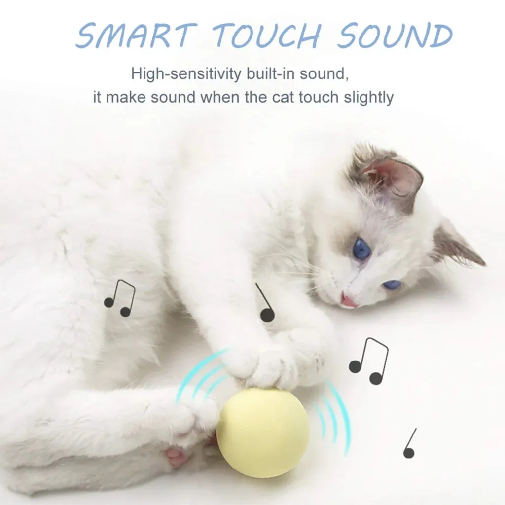Cat Toy Interactive Ball Catnip Cat Training Toy Cat Accessories Fidget Toys Gatos Accesorios Pet Supplies Products Toy For Cats