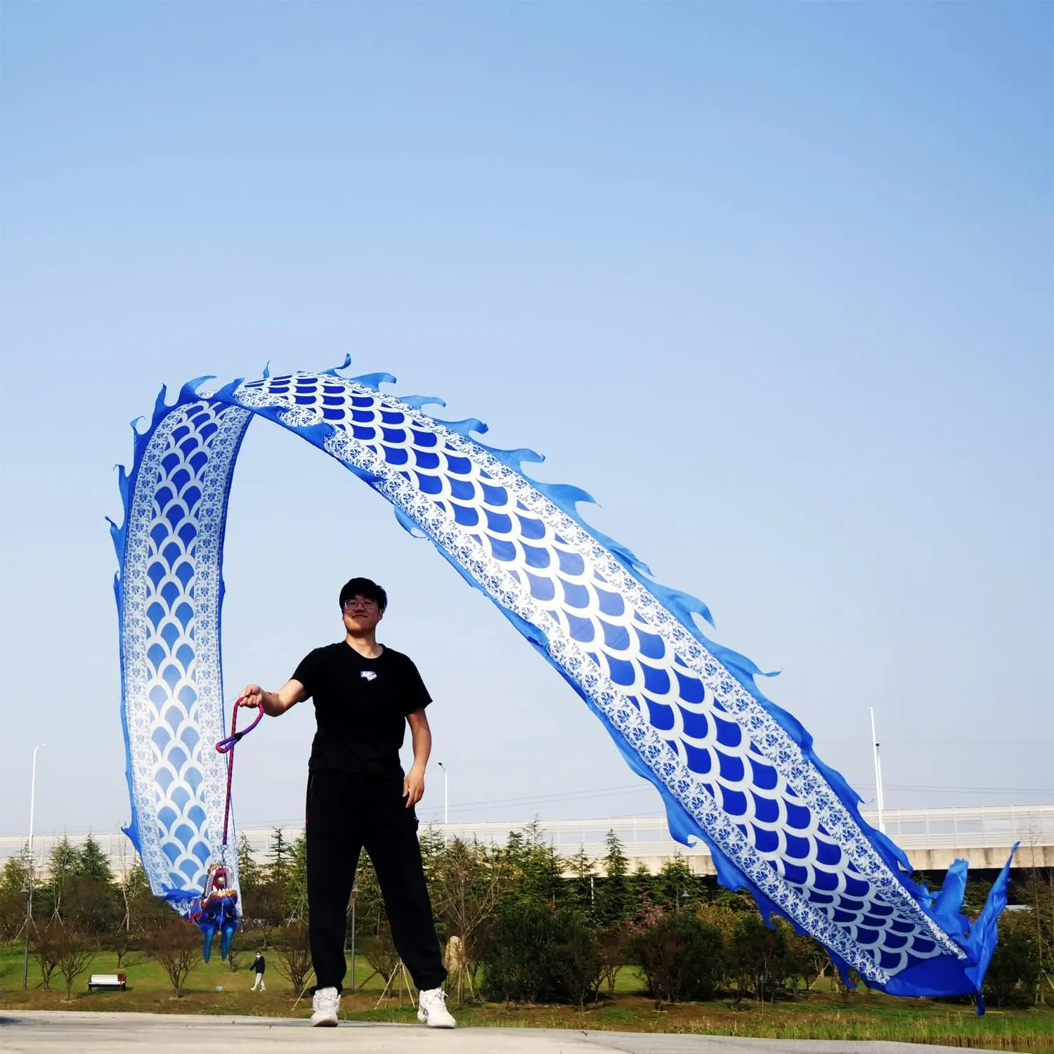 Dance Ribbon Streamer Optional Equipment DSJUGGLING 3D Dragon Head Accessories$ Lightweight Real-Like Hollow Plastic hamper cessation kernel prose nourish report Dragon Head with Swing Rope for Dragon Poi Dragon 