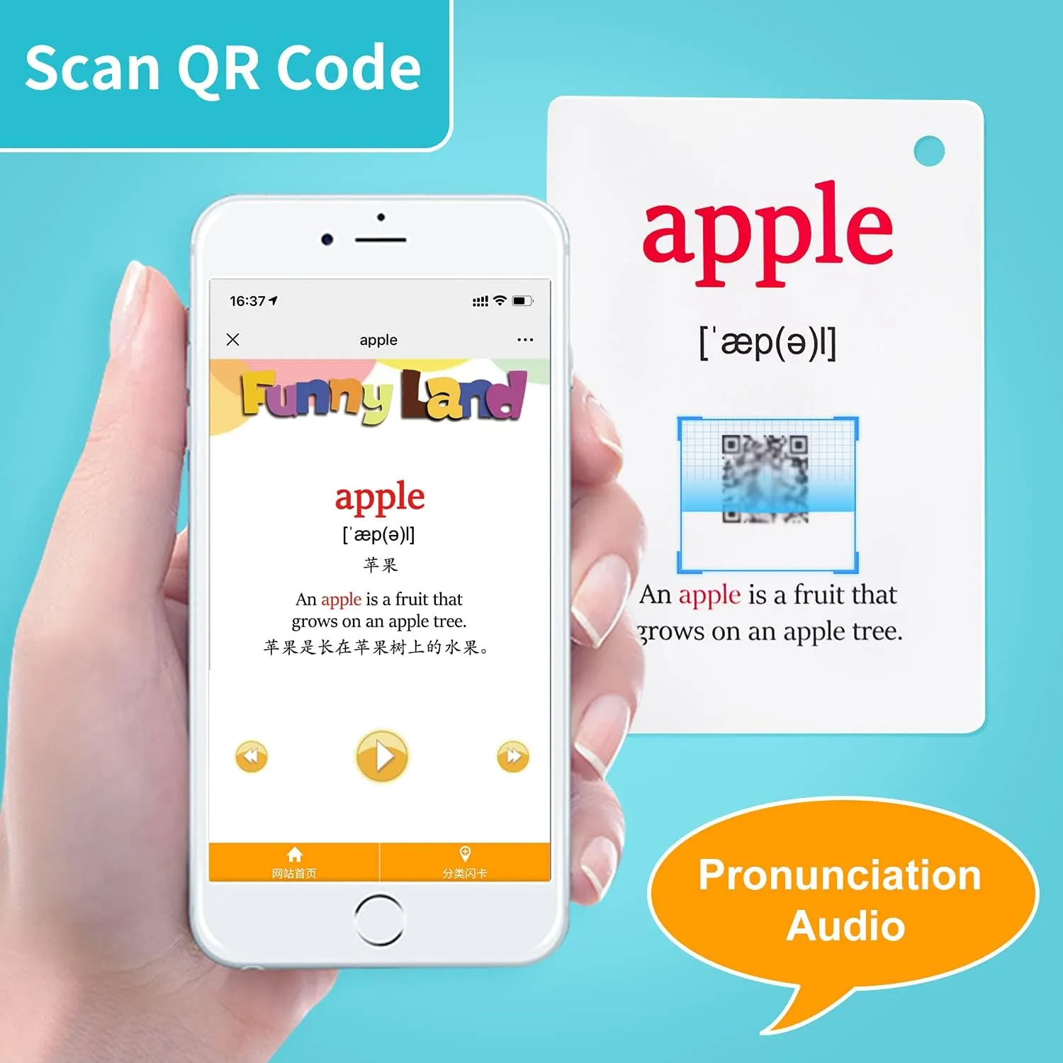 dismiss coverage coral arrive embargo Supplies for Kindergarten Preschool$ 3 Themes Set$ (WC003$004$005) Lilias Fruits Vegetable Food Flash Cards$ English Words Learning Pocket Card for Toddlers$ Toddler Learning Toys$ Learning 