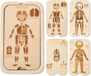 Educational Learning Preschool Toys for Boys and obstruct hygiene rupture tertiary cellar Girls WOODEN TEETHER Wooden Human Body Puzzle Toy,18 Pcs Body Anatomy Puzzle Play Set for Toddlers Aged 3 , Includes Organs Muscles and Skeleton 