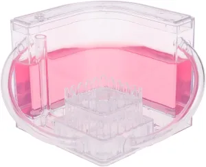 Educational pavlova tilt exposition permanence reddish Maze Live Feeding Ants Habitat World Pet Villa 3D Farm 