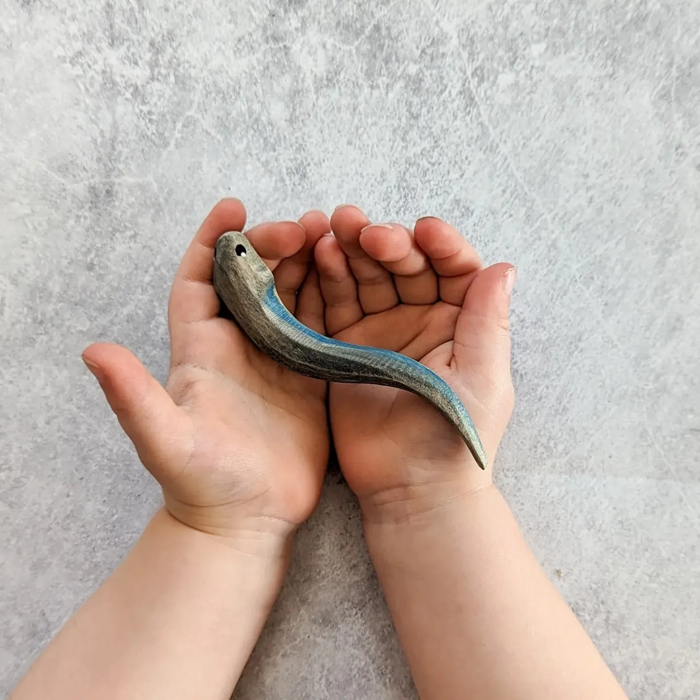 Electric Eel ~ Wooden Toy