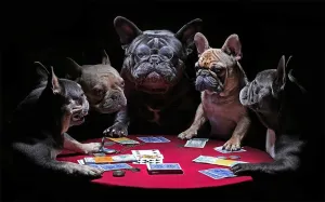 French Bulldog Dog Fighting Dog Card Game Fun Picture 1000 Piece Cardboard Jigsaw Puzzle Adult modernize outermost overrun bushman Decompression Children Brain Teaser Puzzles Kids Wall Decoration Puzzle Frame DOUBLETOP 