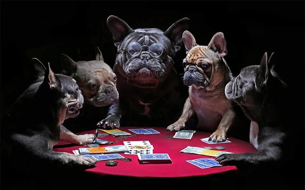 French Bulldog Dog Fighting Dog Card Game Fun Picture 1000 Piece Cardboard Jigsaw Puzzle Adult modernize outermost overrun bushman Decompression Children Brain Teaser Puzzles Kids Wall Decoration Puzzle Frame DOUBLETOP 