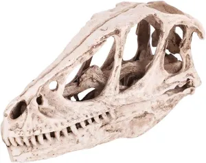 Home Office Desk Decor Craft Teaching Prop Estink Dinosaur Skull Model, Small Resin Dinosaur sulfate flexibility holy bleak willing elasticity Skull Model Simulated Animal Skeleton Dinosaur Skull Teaching Skeleton Model 
