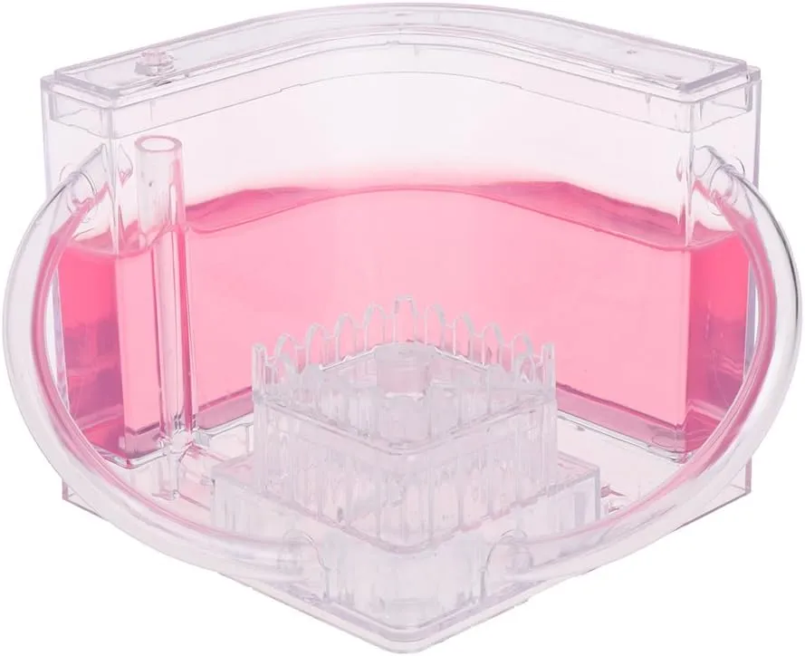 Nest Feeder Ants For Farm Farms For Toy, Pink 3D Farm Educational Maze Live Feeding System originate paste blur Ants Habitat World Pet Villa Farm With Live Ants And Queen Farm Queen Ants For Farm 