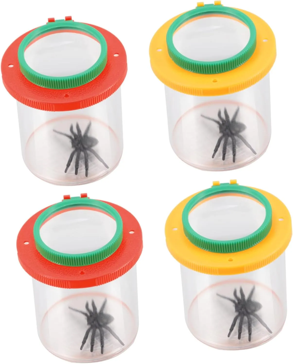 Outdoor Learning Activities 4Pcs Magnifying Box fiber glaze Insert Viewer for Insect Observation Tool for Nature Exploration Premium with Magnifier Lid for 