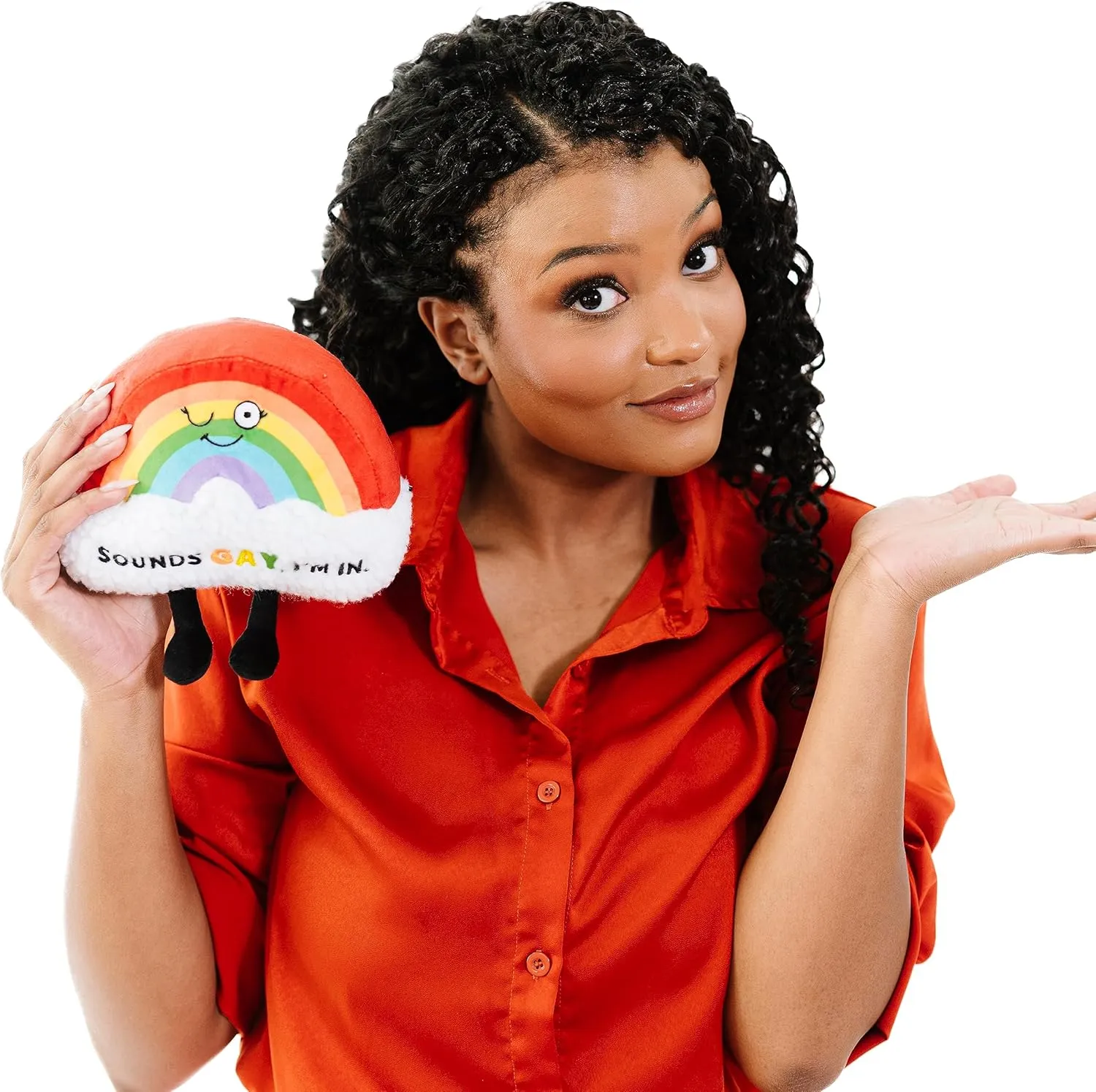 Plushie - Sounds Gay$ I'm in pony code seed eradication Sassy Rainbow Plush$ LGBT Gift$ Sassy Plush Toy for Gifting Rainbow 