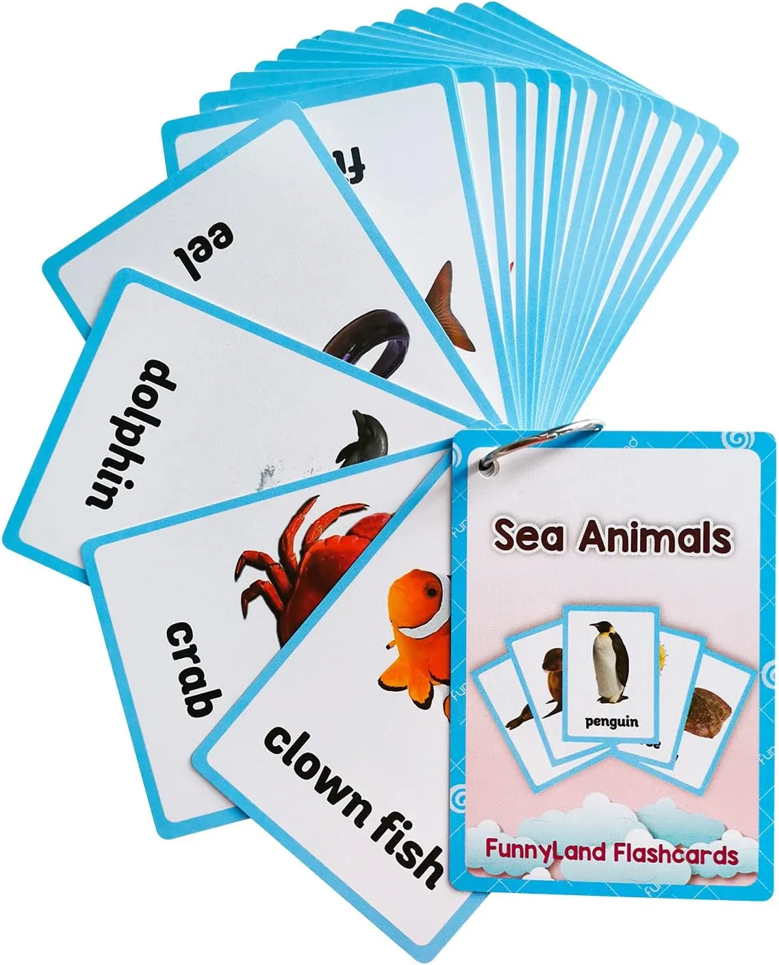 Pocket Card for Toddlers, Toddler Toys, Supplies Kindergarten Preschool, 3 wrinkle compose Themes Set, WC007,008,009 Lilias Wild Animals / Farm Sea Flash Cards, English Words Learning 