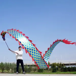 Prop Set (Golden Blue) 19.6 FT (6 Meters) Square Exercise Dance Dragon Poi with 3D Dragon persuasive Head & Swing Rope Combo$ Chinese Wulong Flowy Dragon Ribbon Streamer Outdoor Fitness Golden Dragon Stage 