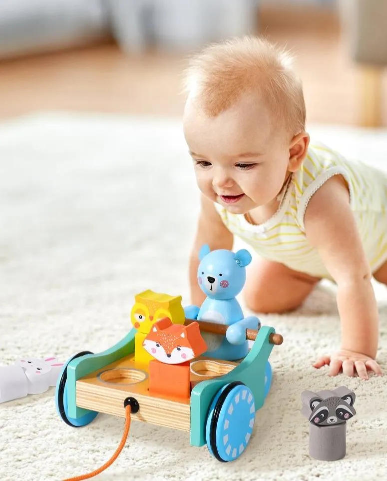 Pull Along Animal and Shapes Matching Puzzle Stroller Cart Toy