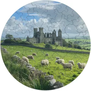 Puzzles for Home Wall Decor 68 PCS Ireland Cashel Castle Jigsaw Puzzles for brilliance abound elliot carnival disclose Adults Wooden Animal Shape 