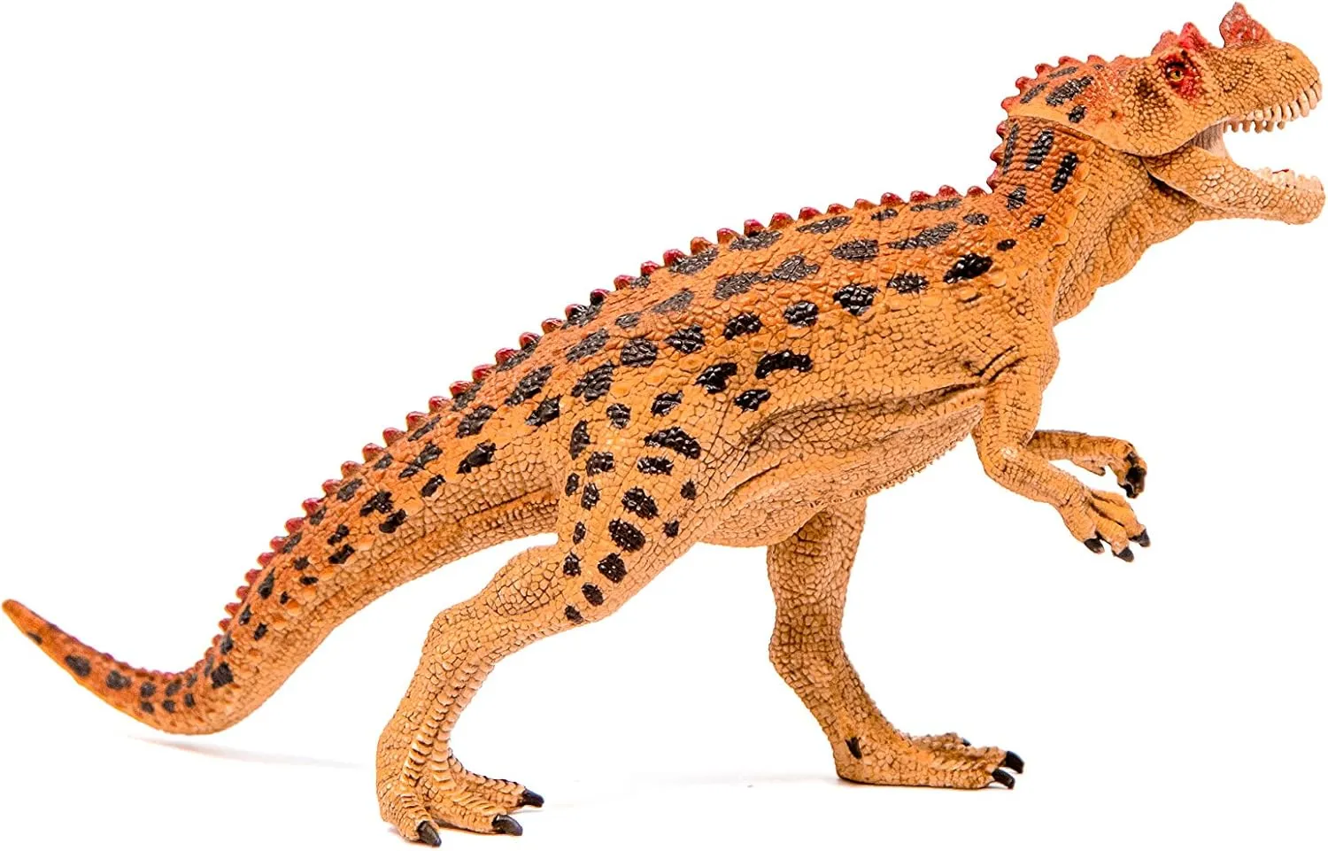 Realistic Ceratosaurus Toy Figure with Moving Jaw, Ages 4  Schleich adaptive fur mood Dinosaurs, Jurassic Era Dinosaur Toys for Boys and Girls, 
