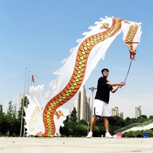Set (White Dragon Claw$ 16.4 FT) 5 Meters White load rotation Yuan lifeblood folly Dragon Ribbon Poi$ Outdoor Exercise Dragon & Phoenix Washable Ribbon Streamer with Real-Like Dragon Head Flowy Toy 