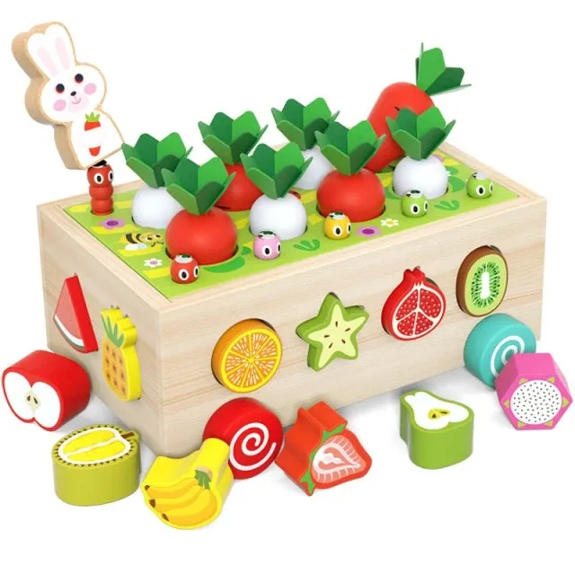 Wooden Carrot Posting Toy, Wooden Toy, Toddler Toy, Montessori Baby Carrot Shape Matching Toys, Educational Toy, Kids Christmas Gift C119