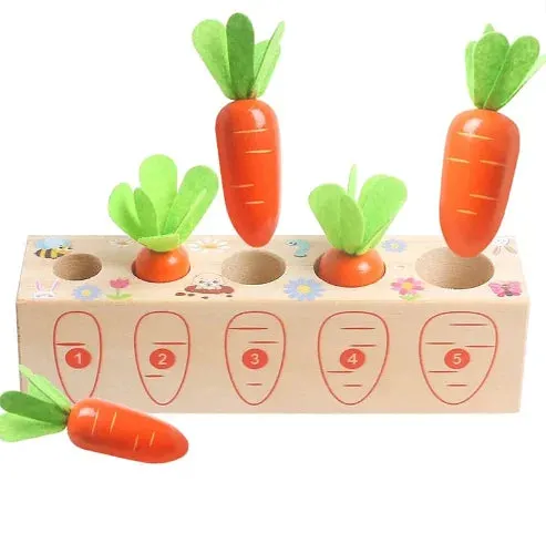 Wooden Carrot Posting Toy, Wooden Toy, Toddler Toy, Montessori Baby Carrot Shape Matching Toys, Educational Toy, Kids Christmas Gift C119